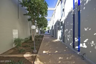 Photo #1: 6352312 Listing