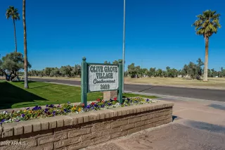 Photo #3: 6353777 Listing 