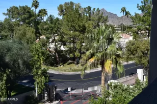 Photo #6: 6355374 Listing