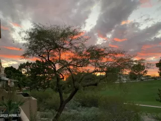 Photo #1: 6359381 Listing