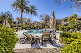 Photo #1: 6364648 Listing