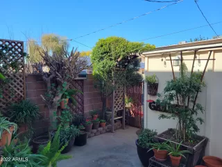 Photo #2: 6364867 Listing 