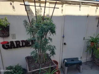 Photo #4: 6364867 Listing 