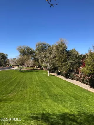 Photo #2: 6367472 Listing