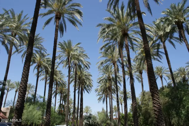 MLS: 6369671 Condo For Sale