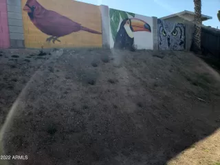 Photo #5: 6371379 Listing