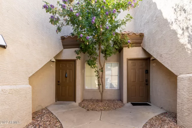 MLS: 6374014 Condo For Sale