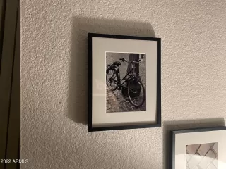 Photo #4: 6374390 Listing 