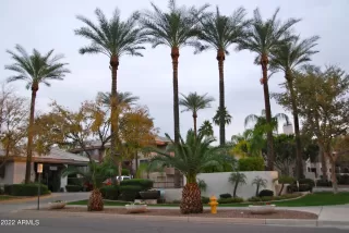 Photo #1: 6375505 Listing 