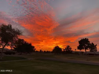 Photo #1: 6376314 Listing