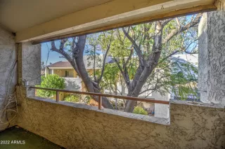 Photo #3: 6377452 Listing