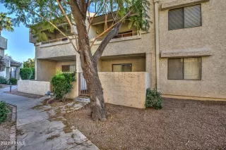 Photo #5: 6377452 Listing