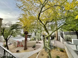 Photo #1: 6378476 Listing