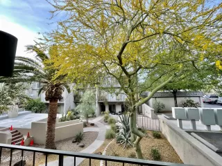 Photo #2: 6378476 Listing