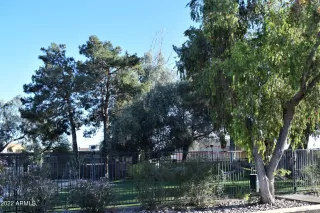 Photo #3: 6378638 Listing