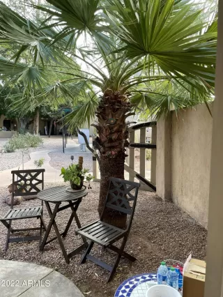 Photo #2: 6378946 Listing