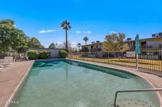 Photo #2: 6379314 Listing 