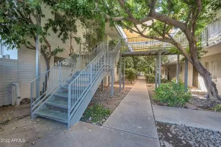 Photo #6: 6379314 Listing 