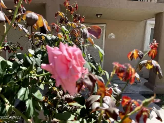 Photo #1: 6379806 Listing