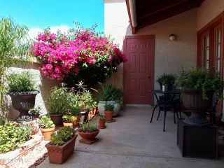 Photo #2: 6379856 Listing