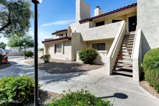 Photo #1: 6379958 Listing