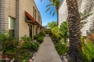 Photo #1: 6380718 Listing 