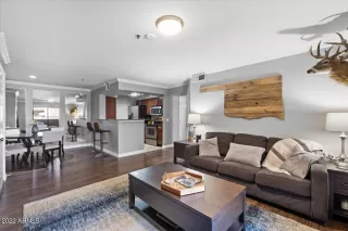 Photo #3: 6381076 Listing 