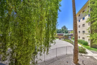 Photo #5: 6381567 Listing