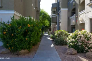 Photo #4: 6382126 Listing 