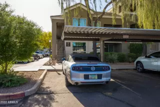 Photo #5: 6382126 Listing 