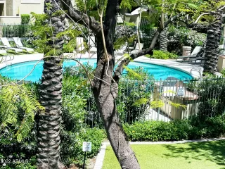 Photo #2: 6382689 Listing