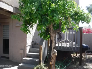 Photo #5: 6383011 Listing 