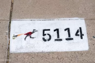 Photo #2: 6383821 Listing