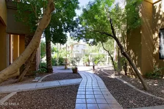 Photo #1: 6384180 Listing