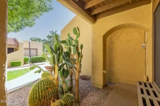 Photo #5: 6384398 Listing