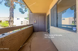 Photo #6: 6386272 Listing