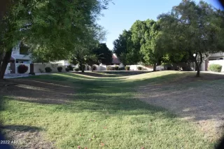 Photo #1: 6387448 Listing