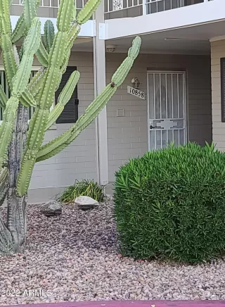Photo #4: 6390492 Listing 