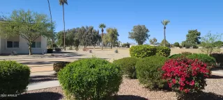 Photo #5: 6390492 Listing 