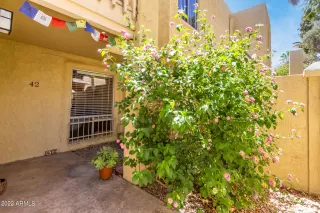 Photo #1: 6391504 Listing 