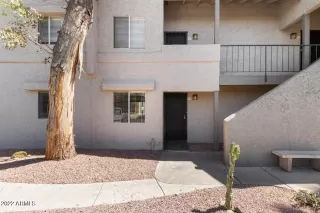 Photo #1: 6395895 Listing