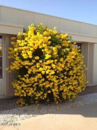 Photo #1: 6396358 Listing 