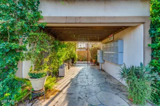 Photo #6: 6398284 Listing 