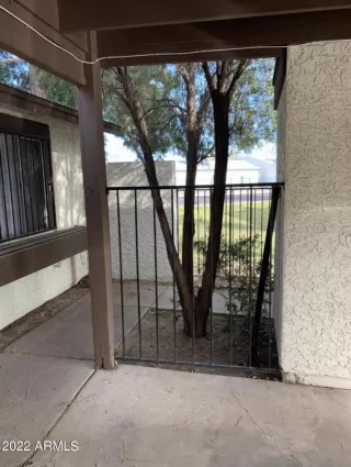 Photo #1: 6398378 Listing