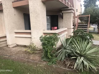 Photo #3: 6398553 Listing