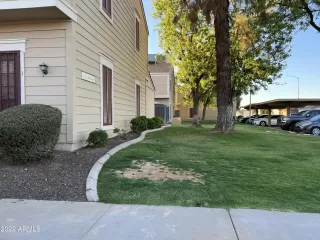 Photo #1: 6399788 Listing