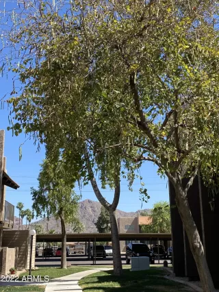 Photo #3: 6400881 Listing