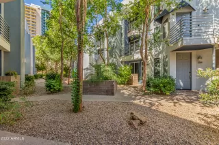 Photo #1: 6402447 Listing 