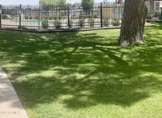 Photo #2: 6405585 Listing