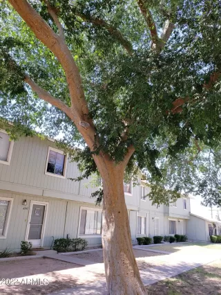 Photo #1: 6406954 Listing 